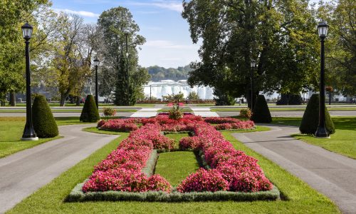 Commission Committees