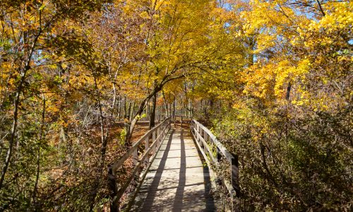 SENTIERS D’INITIATION À LA NATURE AUTO-GUIDÉS