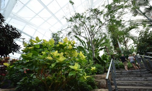 Butterfly Conservatory 