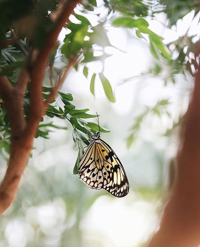 Spending March Break in Niagara Parks? Visit the link in our profile to see what