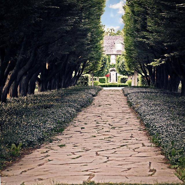 Botanical Gardens, Niagara Falls. *
*
*
#explorecanada #nature #garden #niagarap