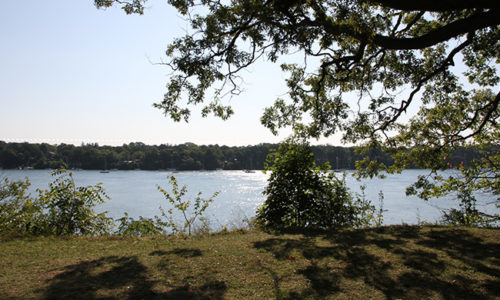 Gestion des points de vue