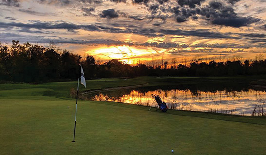 Premium 20 - Image of the Putting Area