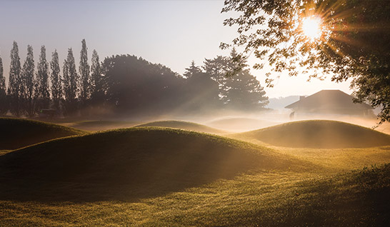 Weekday 50 - Image of the Golfing Area