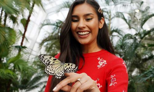 CONSERVATOIRE DE PAPILLONS (BUTTERFLY CONSERVATORY)
