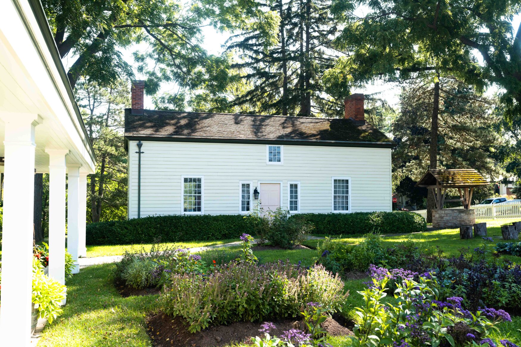 Back Garden And Well