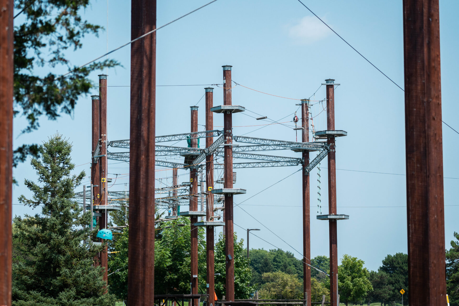 Several wooden poles holding the adventure course high in the air