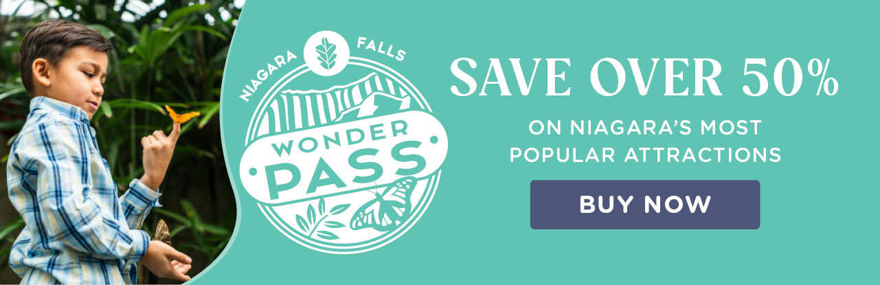 Niagara Falls in background of Journey Behind the Falls